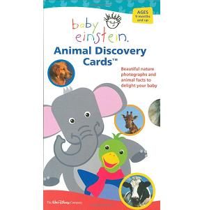 baby einstein discovery animal cards