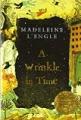 wrinkle in time book