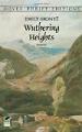 wuthering heights book